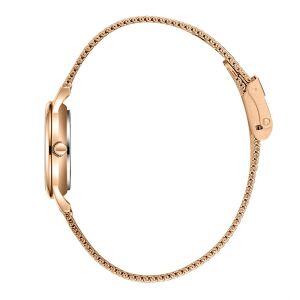 Slazenger SL.09.2458.3.05 Kadın Kol Saati | Rose Gold Kasa & Kahverengi Gradyan Kadran